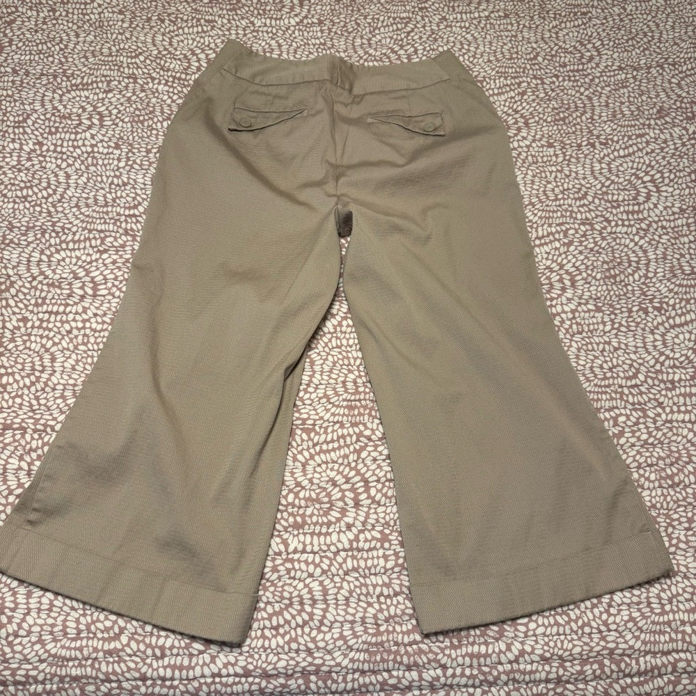 Worthington Tan Capris